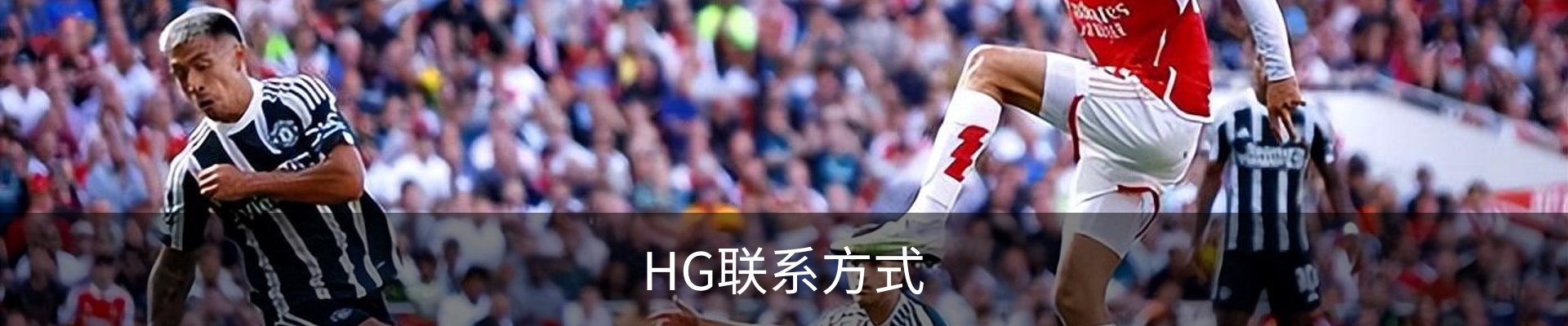 HG联系方式